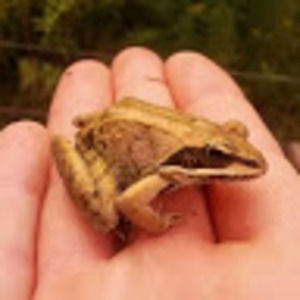 Meet your Posher, Drew